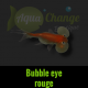 bubble eye rouge