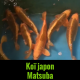 carpe koï japon Hirasawa Matsuba