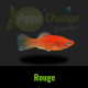 platy rouge