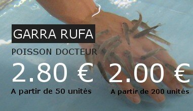 promo sur les garra rufa