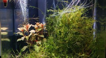 Nano 30L