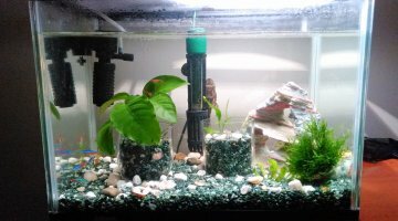 Aquarium Pis Girona