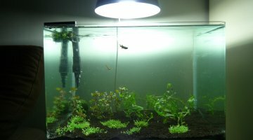 Scapers tank 35L