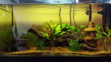 Aqua CPO