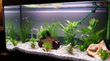 220 L eau douce