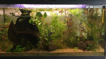 90 litres