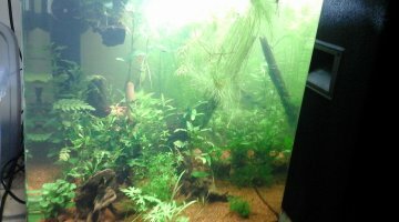 Nano 60l endler