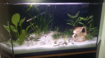 150l communautaire